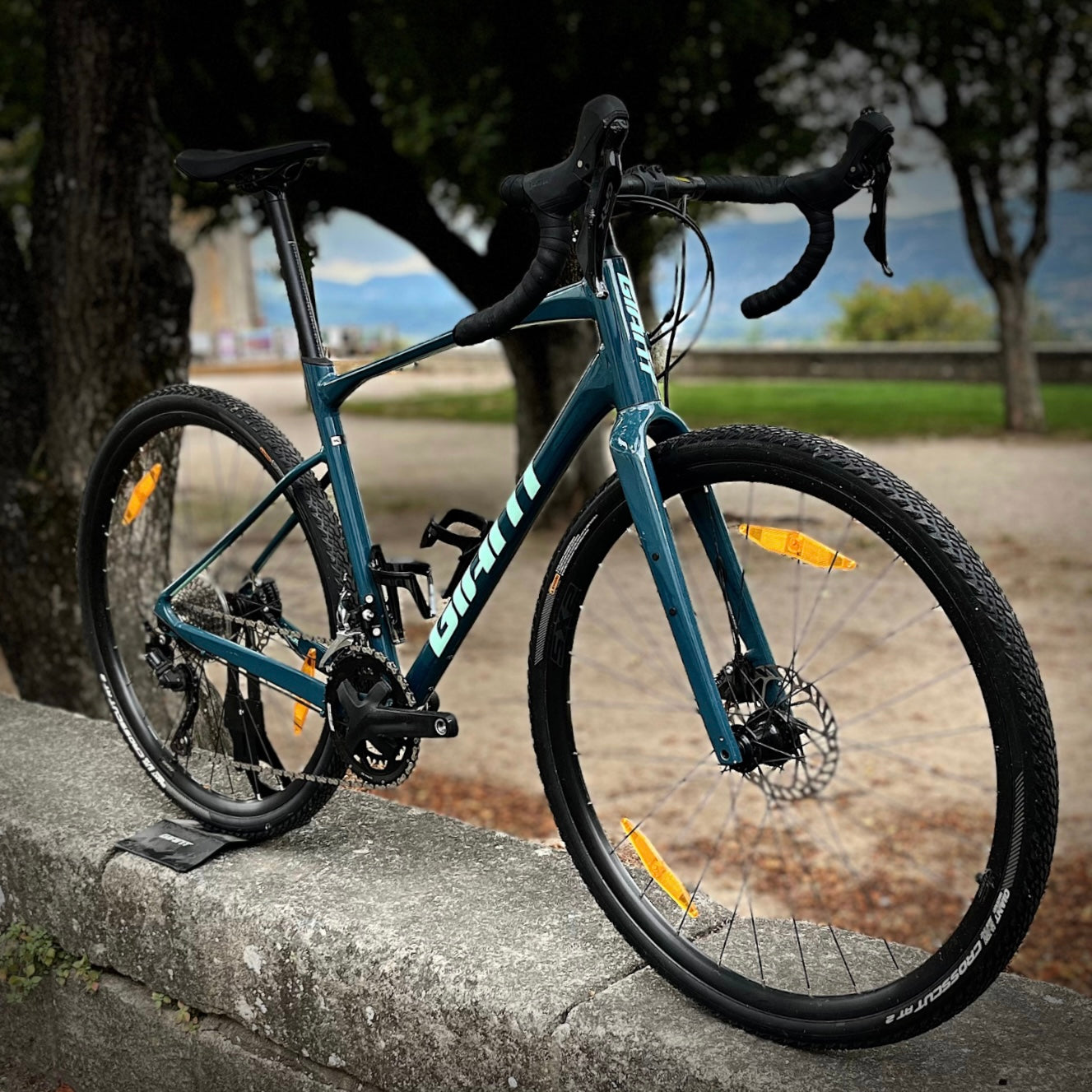 Giant Revolt 1 | Vélo Gravel